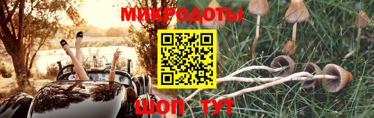 Нижневартовск  Псилоцибиновые грибы MAGIC MUSHROOMS  Вход с VPN 
