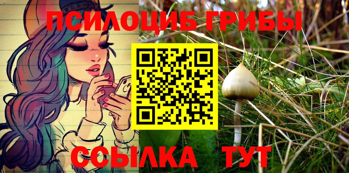 Псилоцибиновые грибы мицелий Нижневартовск
